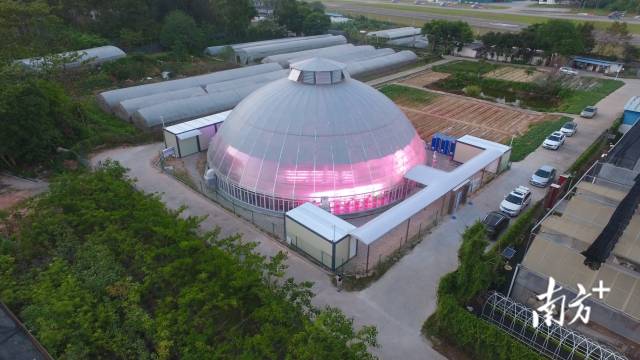 华南农业大学“智慧小院”俯瞰图。